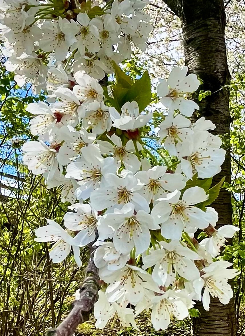 Sammy 🩷 tweet media