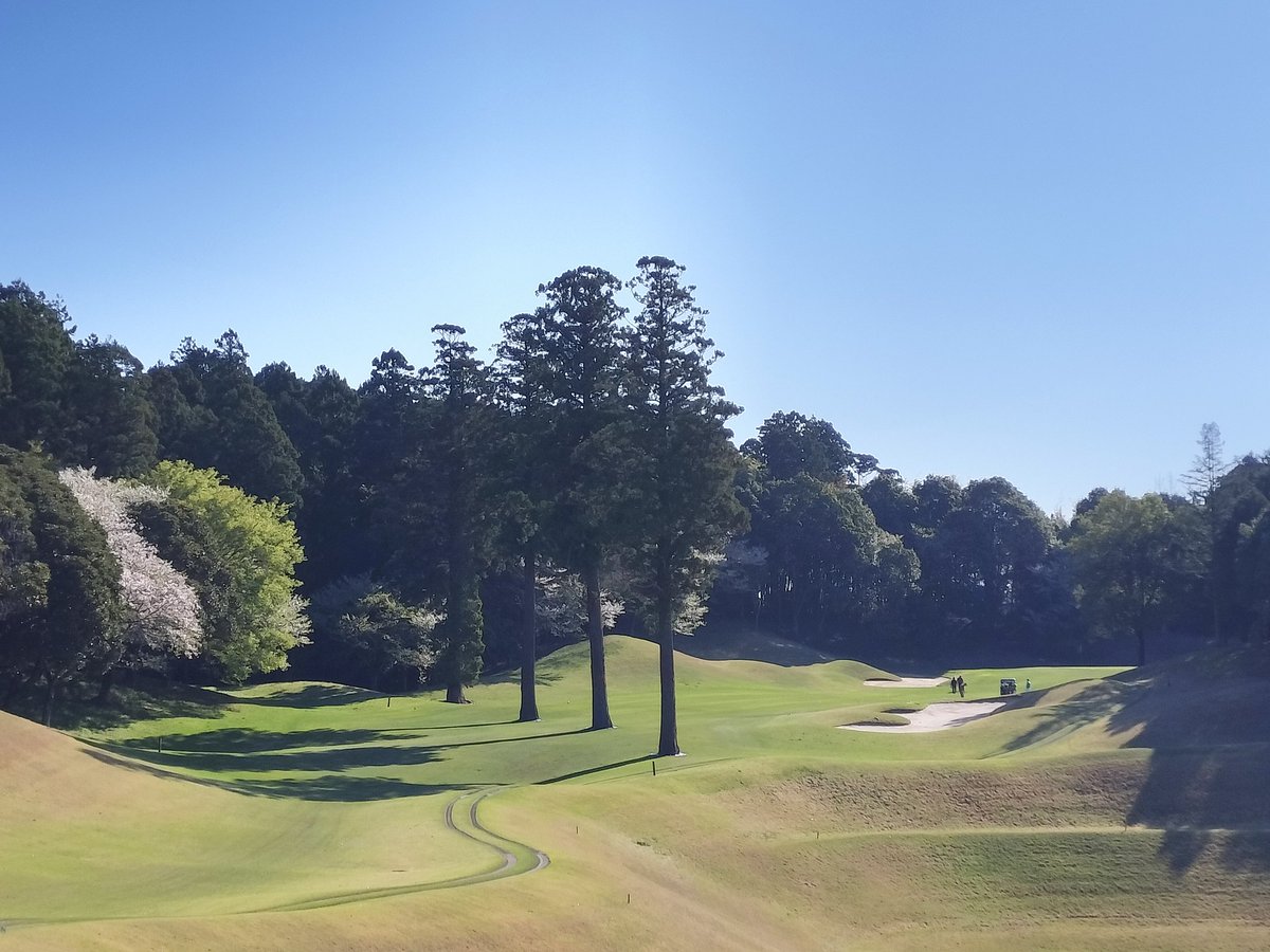 きん坊 tweet media