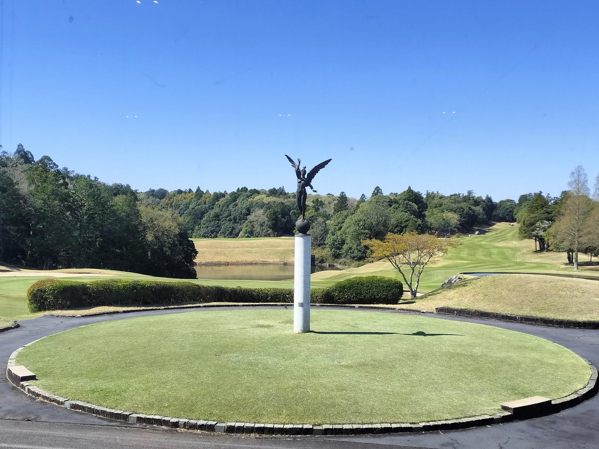 きん坊 tweet media