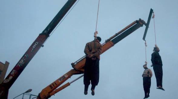 RedFraggle 🦩NAFO 🇺🇦🇪🇺🇩🇪🇮🇱 tweet media