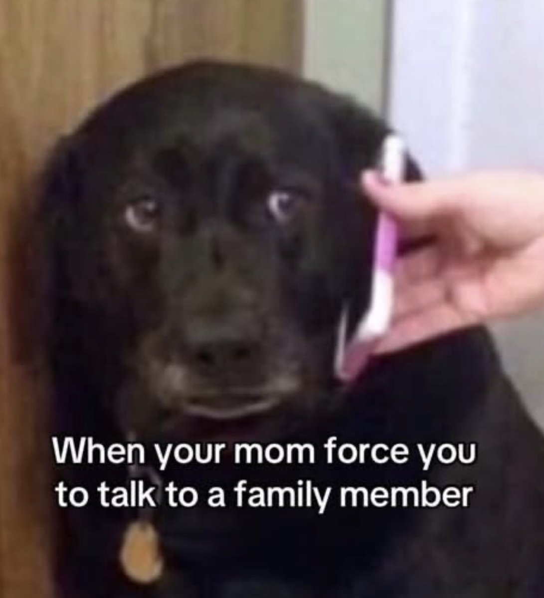 RespectfulMemes's tweet photo. https://t.co/GHFiF9KsZA