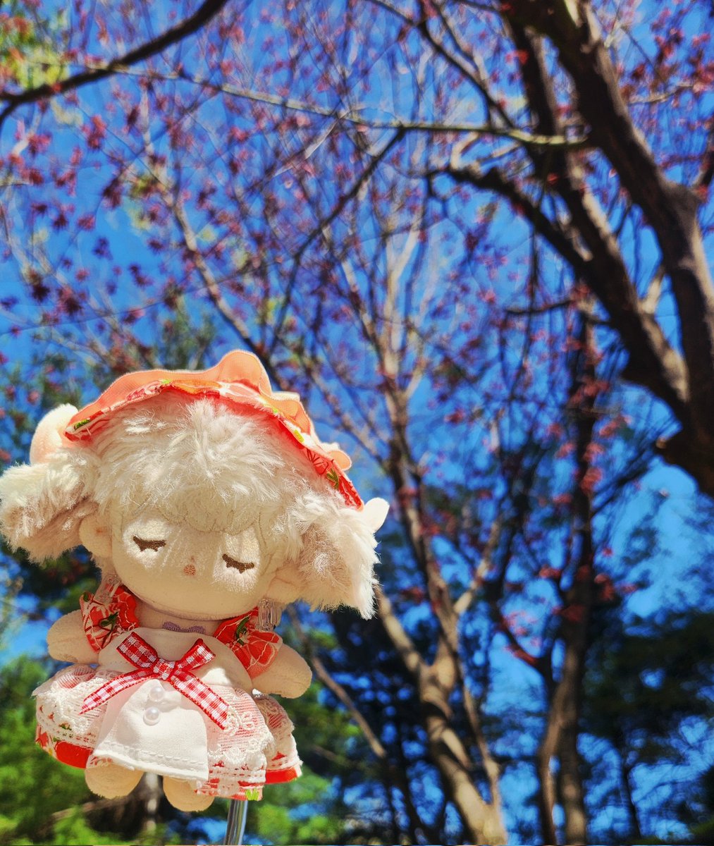 밀과 보리 옷장 tweet media