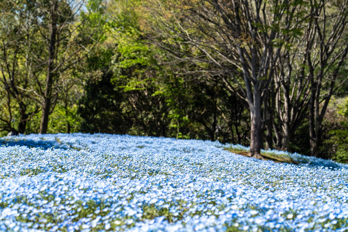 photo＠📷 tweet media