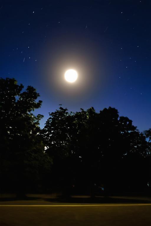 Main Mehboob tweet media