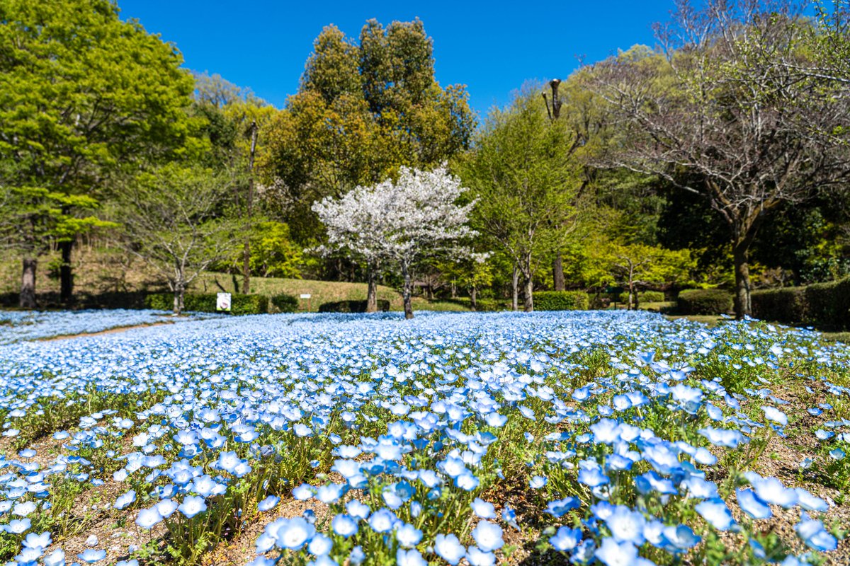 photo＠📷 tweet media