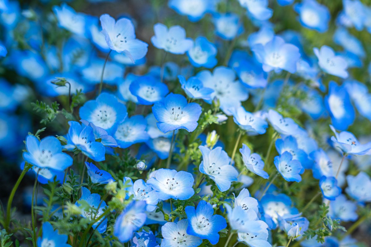 photo＠📷 tweet media