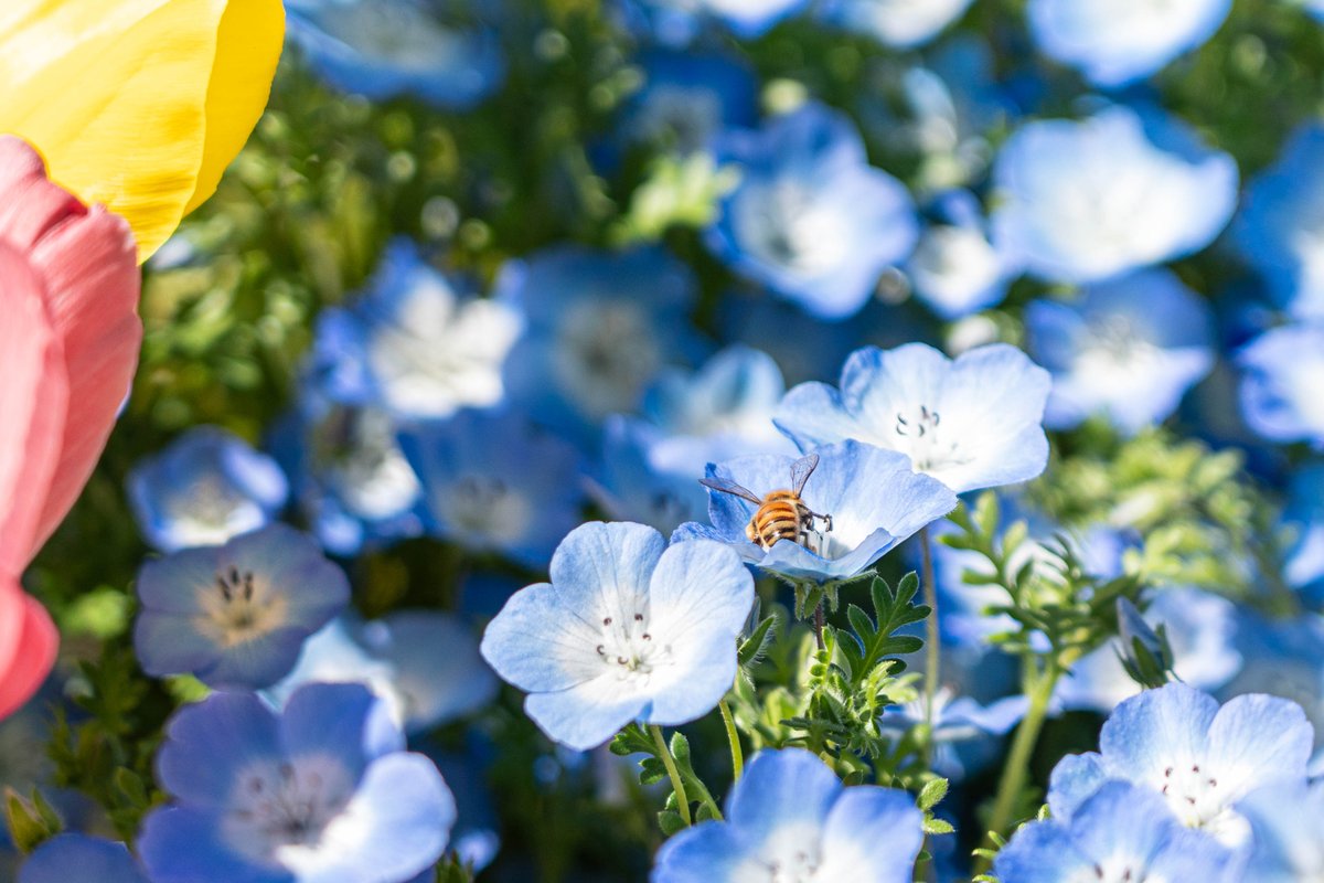 photo＠📷 tweet media