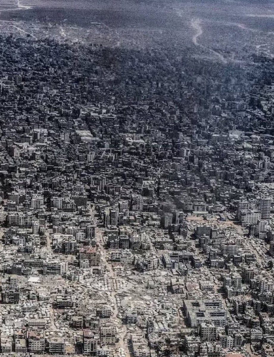 Peaceful Karl tweet media