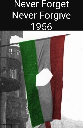 Bajen Vespa, Special Phoenix Fella Division tweet media