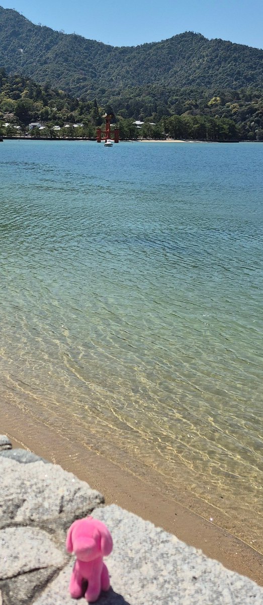 maru07091's tweet photo. 今日は広島～☀️
宮島観光を終えて、玉置さんのコンサート会場に向かってますー🚃

#玉置浩二
#広島
#ファンファーレ
#厳島神社
#宮島 https://t.co/JNrx5yRqug