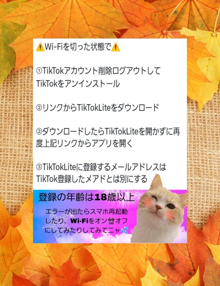 ヌコサブ🐱 tweet media