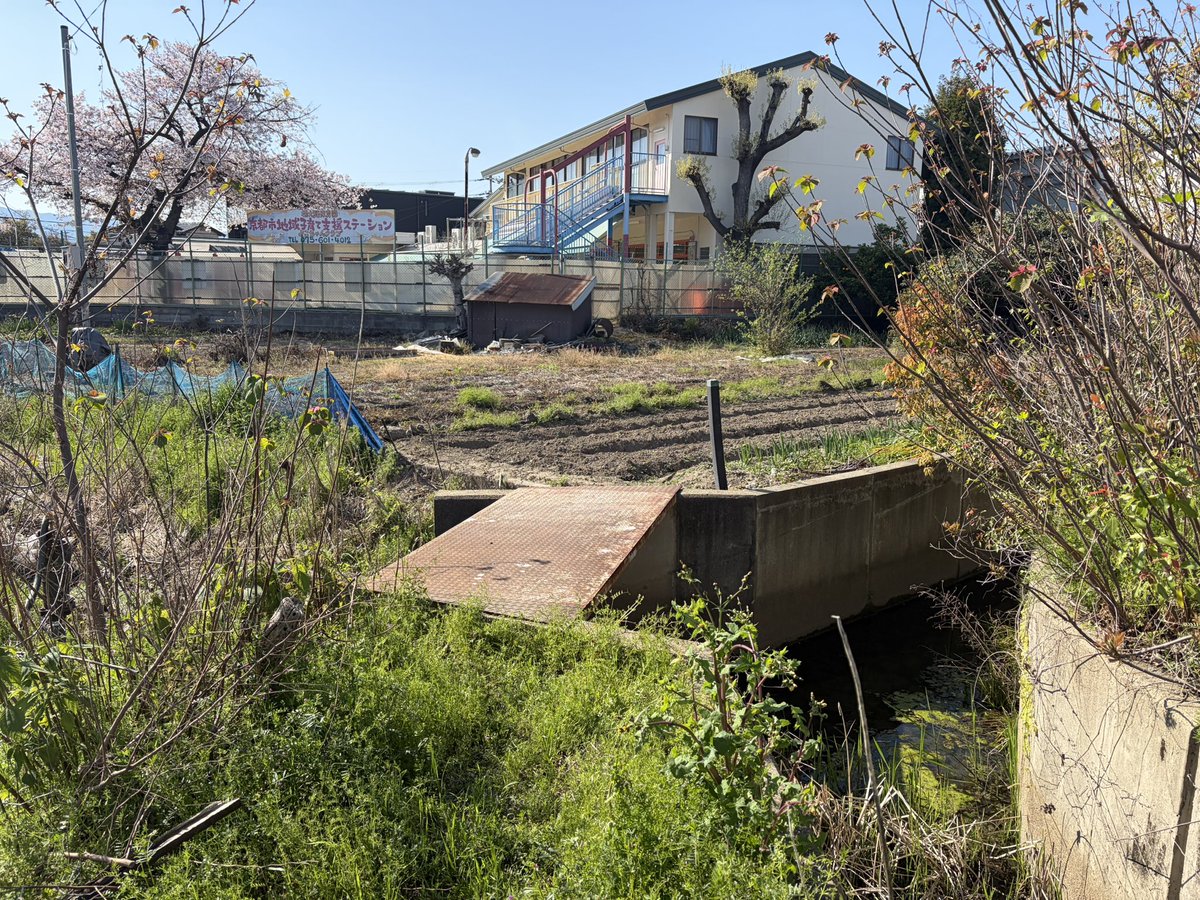 あおえみ tweet media