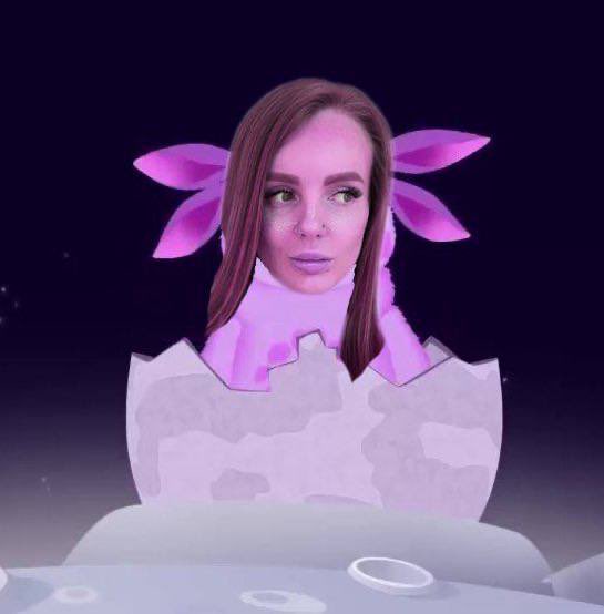 Богема 2.0 tweet media