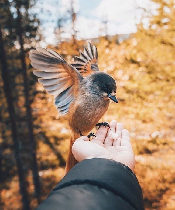 Васи́ль Кук 🇺🇦 tweet media