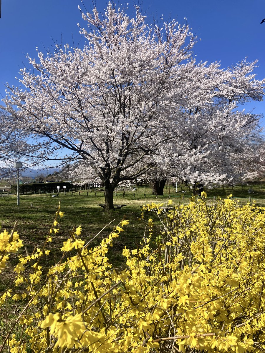 めぐさん tweet media