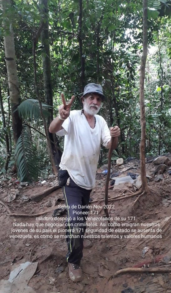 171Realpioneer171 tweet media