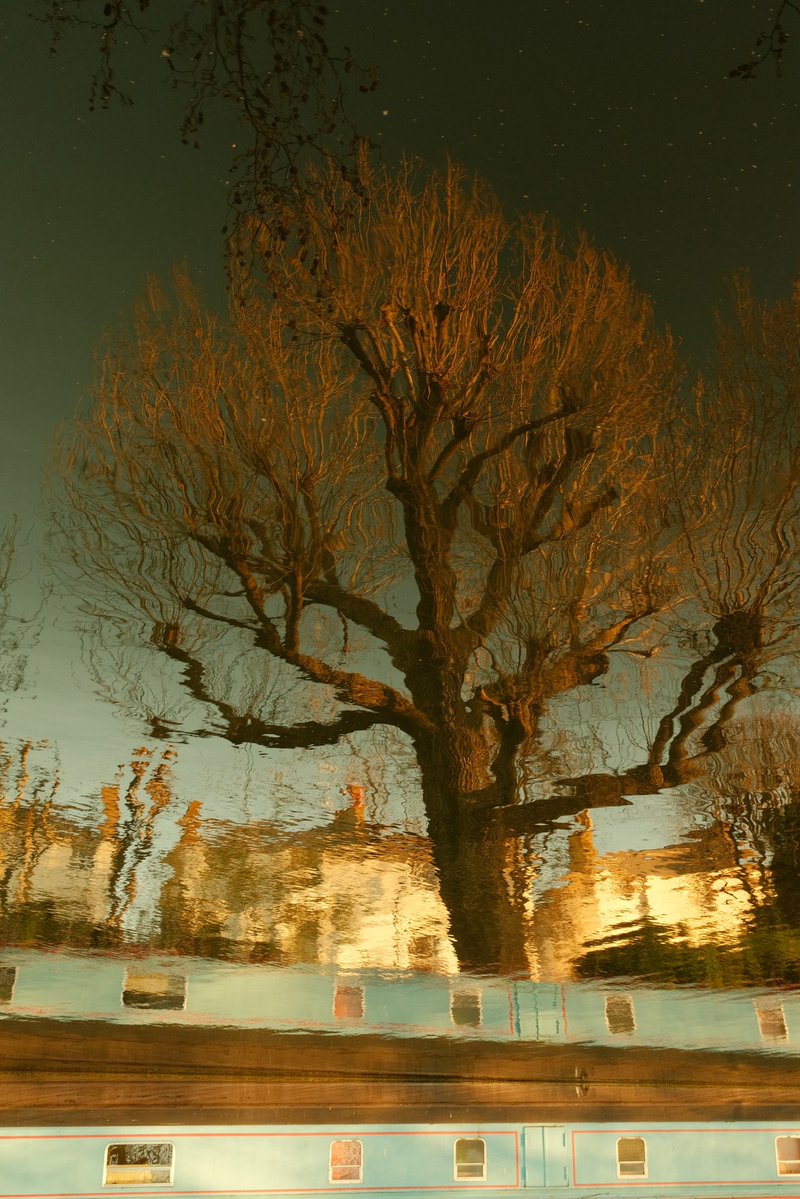 Alastair Hilton tweet media