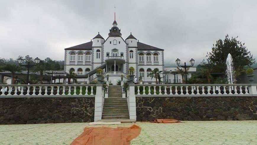 WANDAFU! tweet media