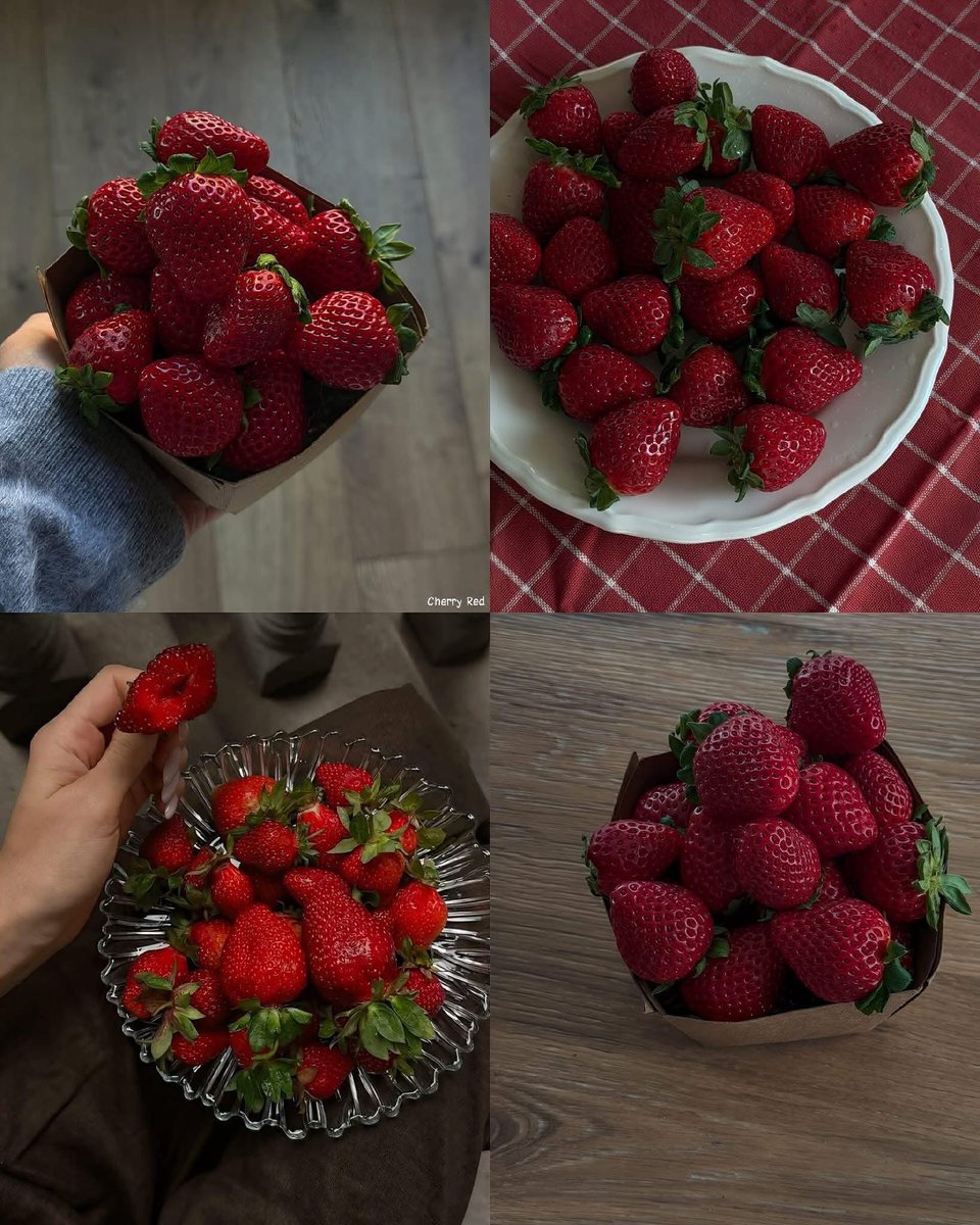 رَهَفْ tweet media