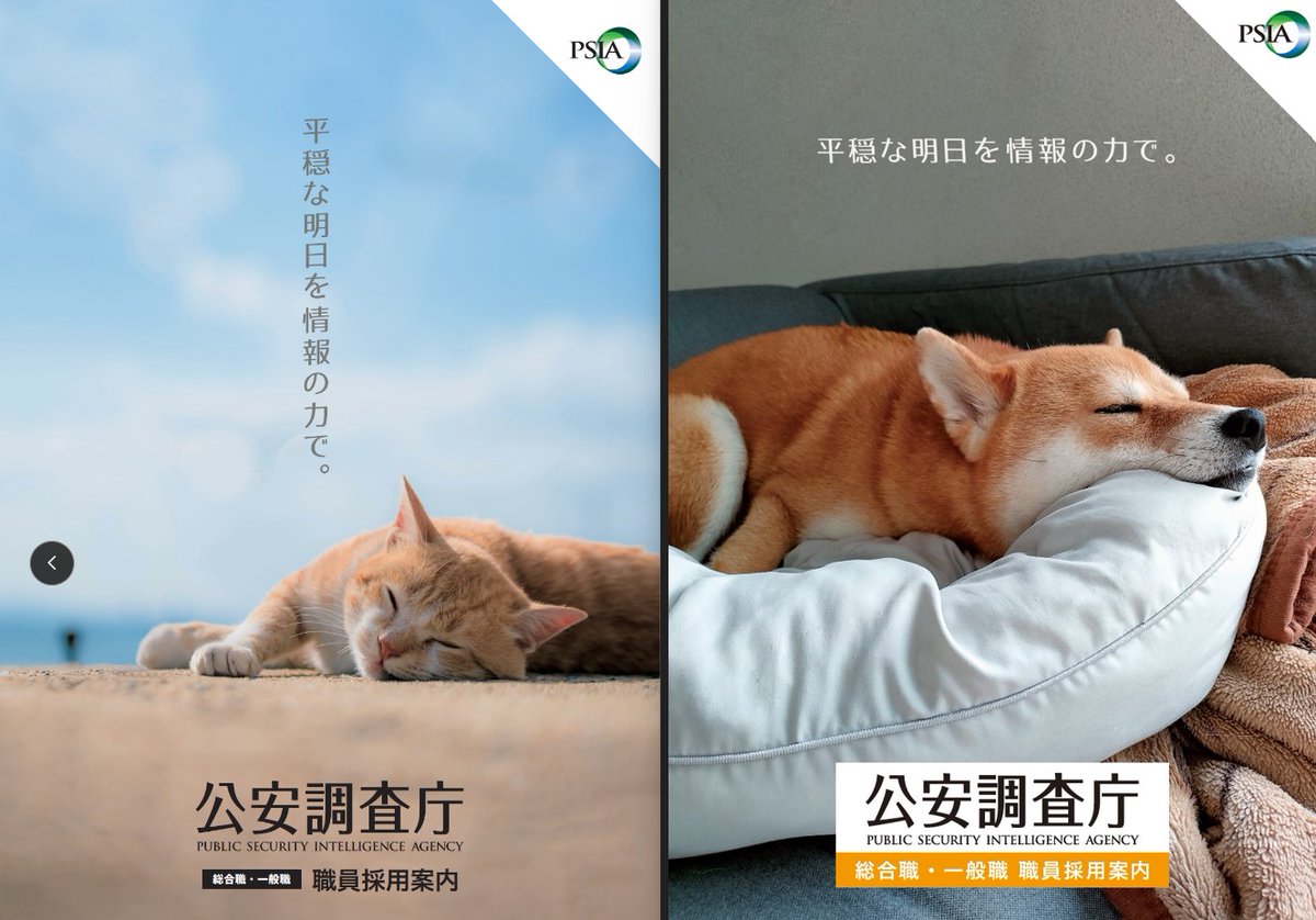 公安調査庁（採用担当） tweet media