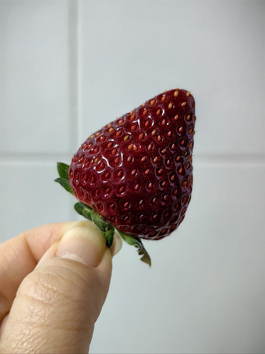 mortin christophe tweet media