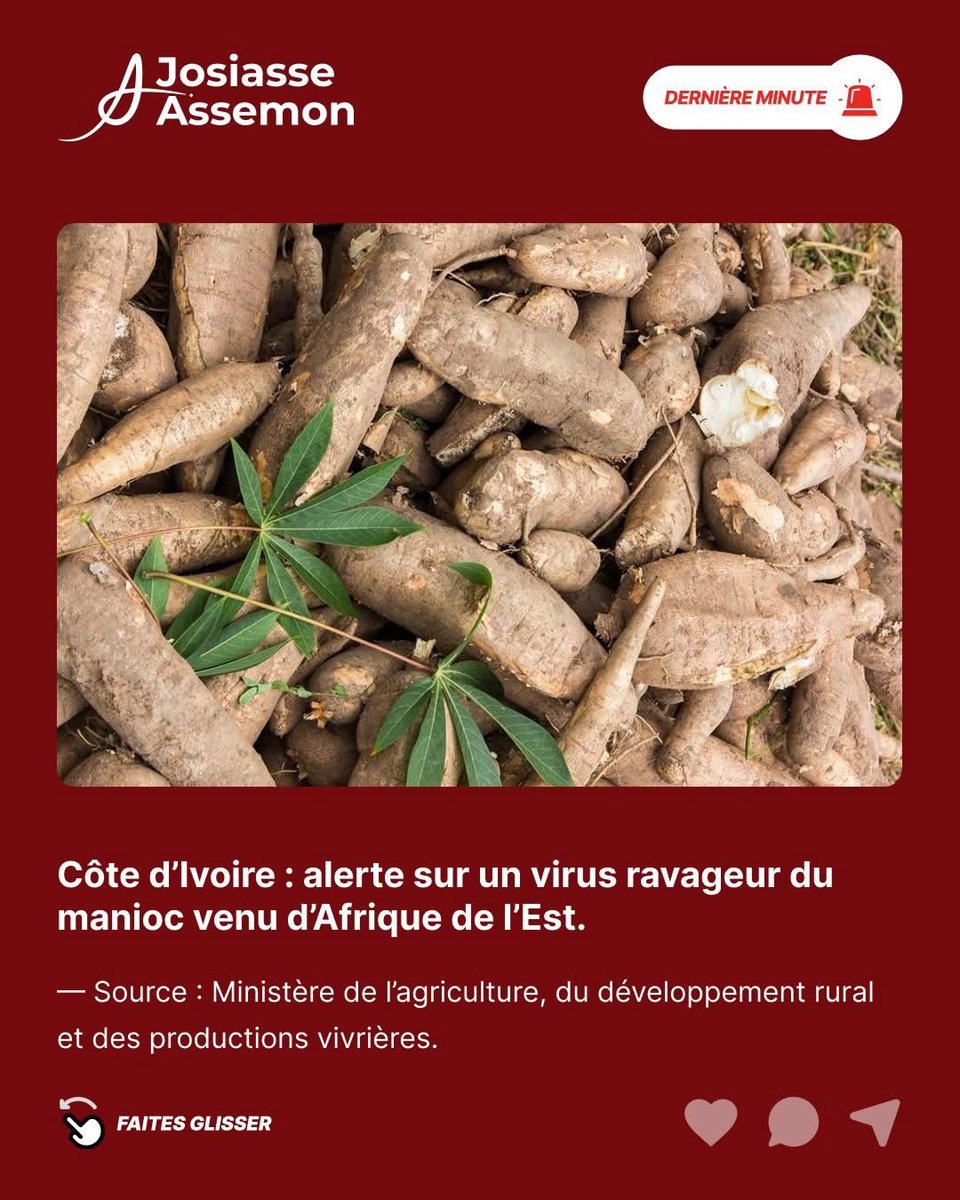 PROM’IVOIRE 🇨🇮 tweet media