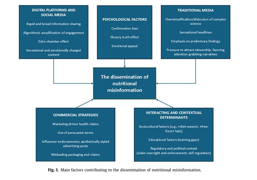 Sociedad SEEN tweet media