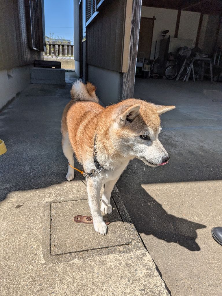 つくばみらい市 tweet media