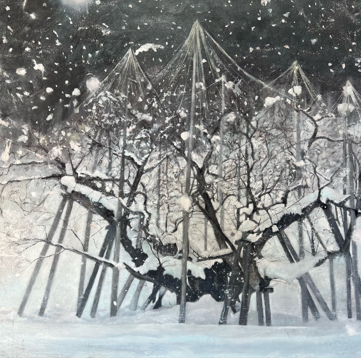 Aoi K あおいけい tweet media