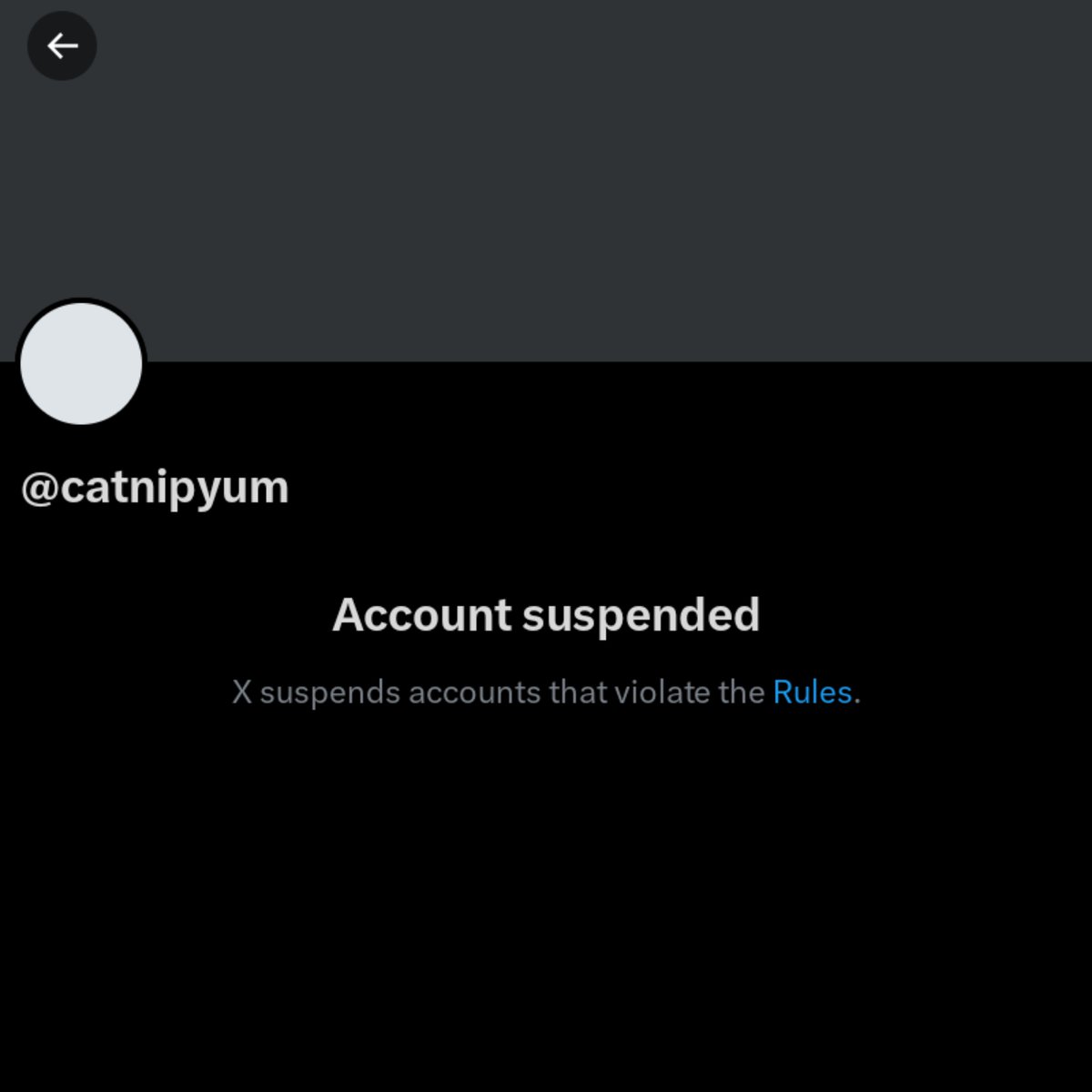 Zero ✚ tweet media