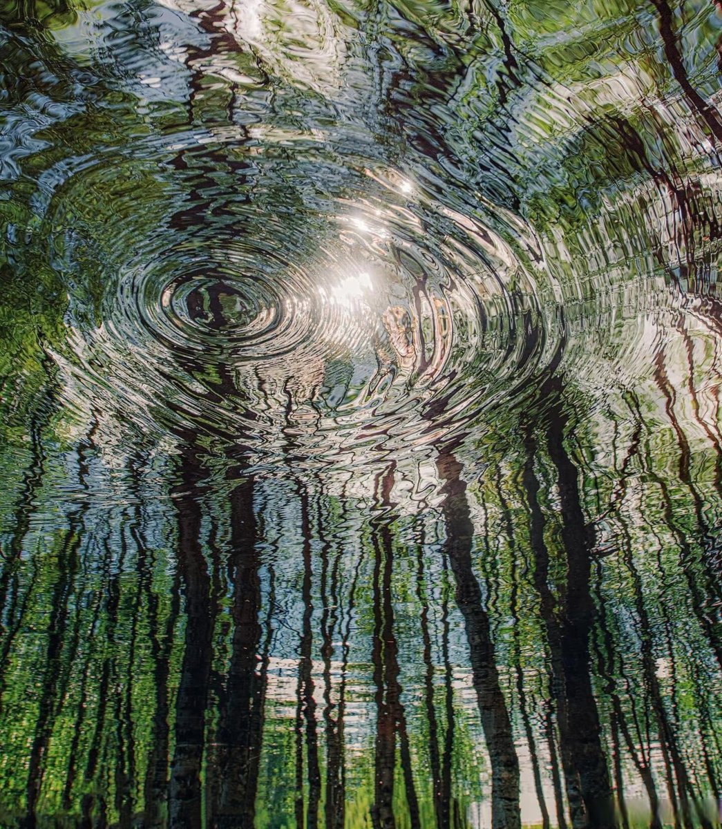 Peter Wilson tweet media