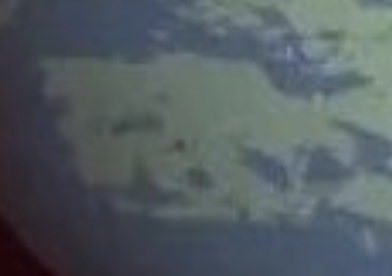 One Proud Bavarian tweet media