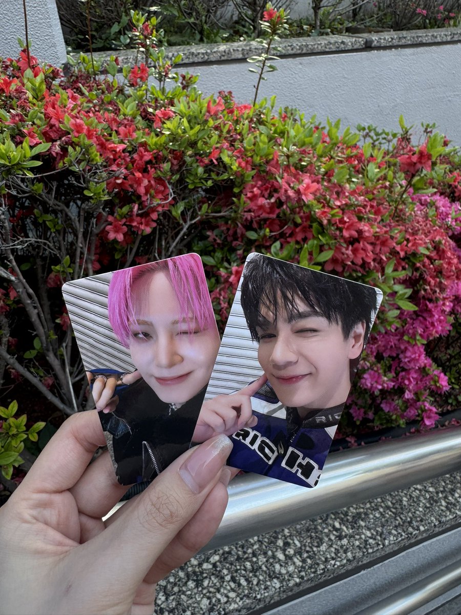 𝕜𝕒𝕟𝕠𝕟🦒 tweet media