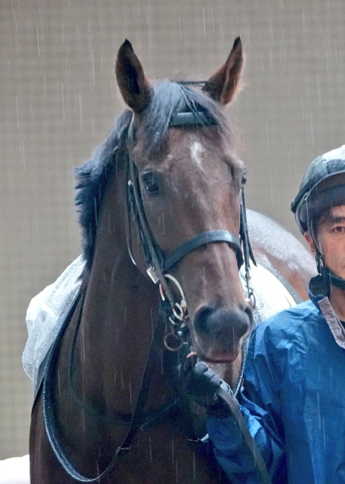 みるまろ tweet media