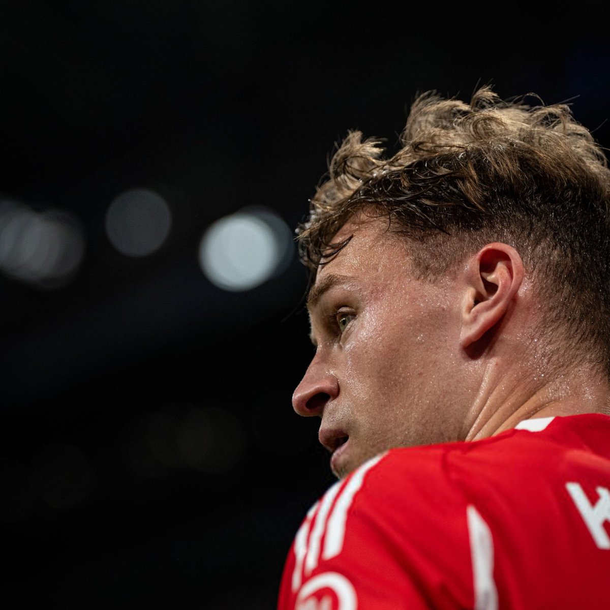 باسل tweet media