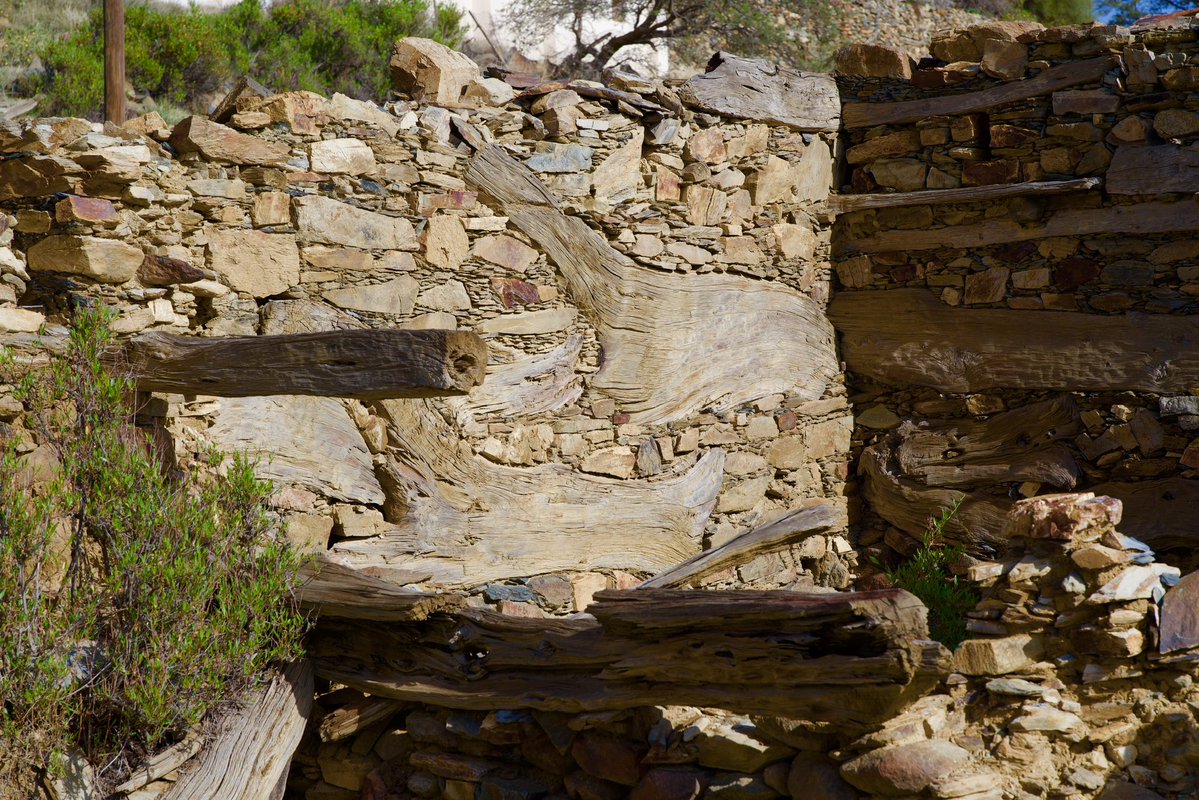 سليمان المالكي 🎙️ tweet media