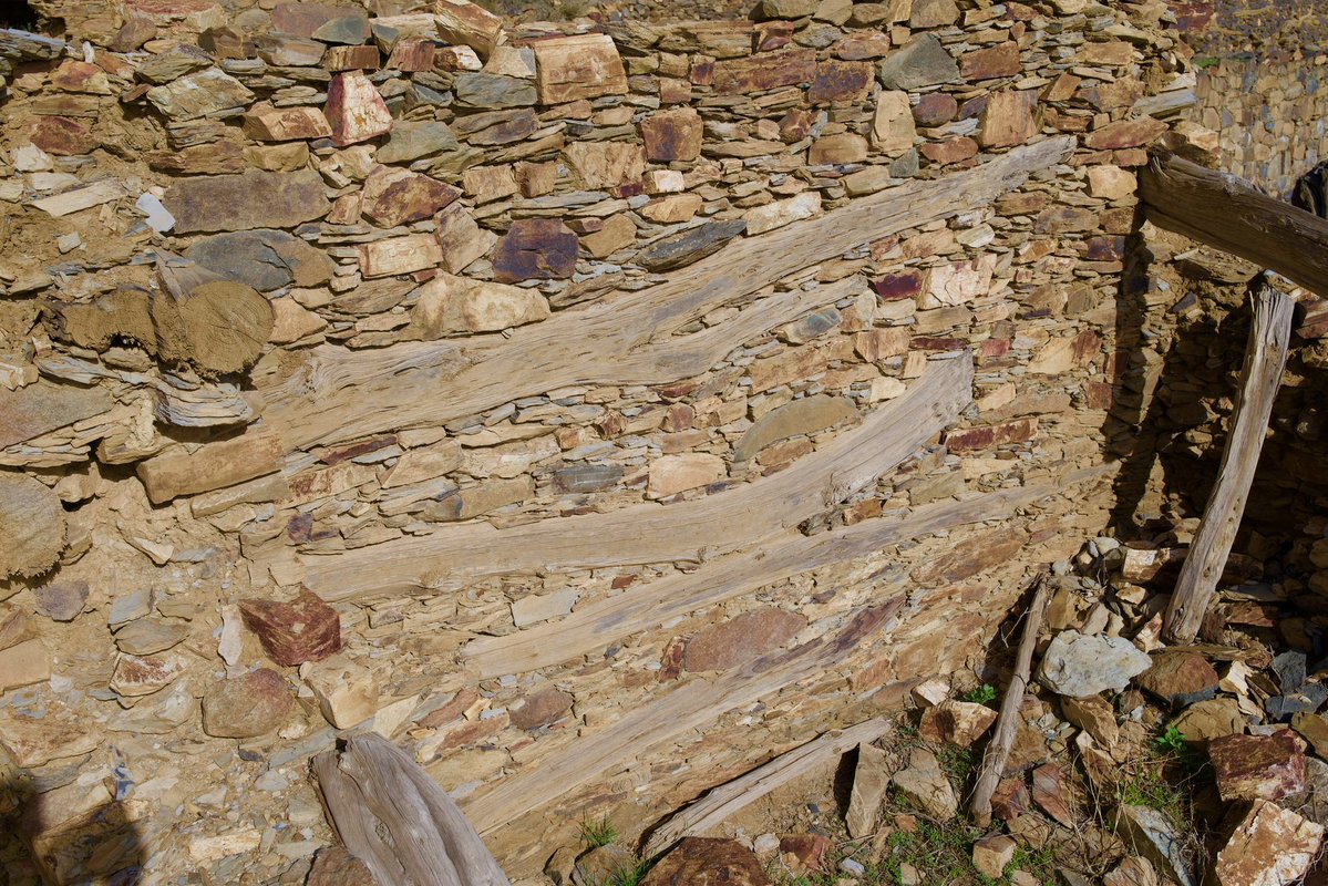 سليمان المالكي 🎙️ tweet media