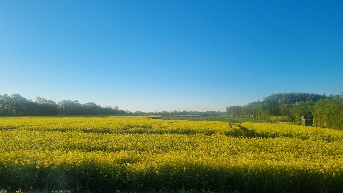 alea jacta 🍀🤞❤️ tweet media