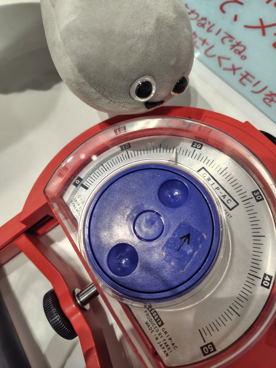 ぱせり tweet media