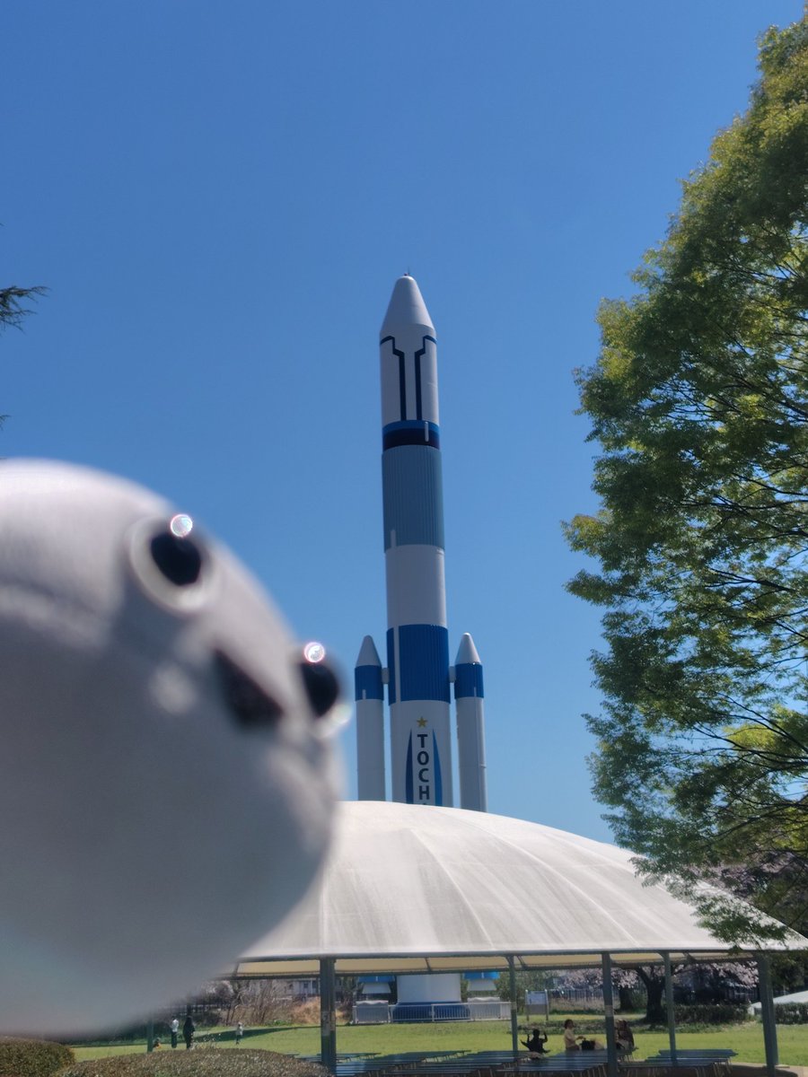 ぱせり tweet media