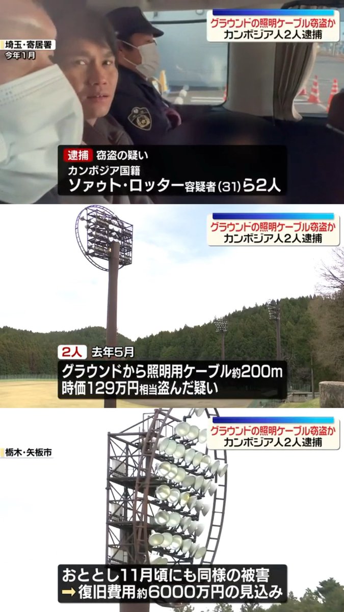 🐾ナンデヤネン tweet media