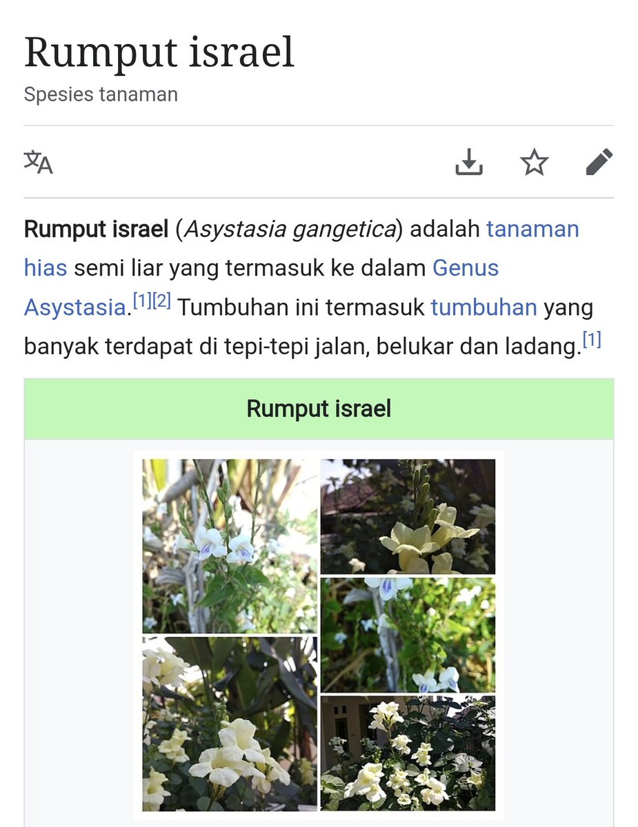 imandani tweet media