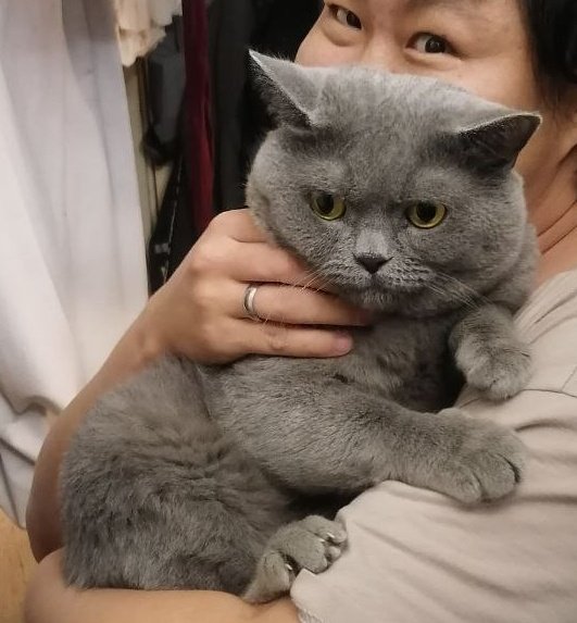 культист смены пола 🔞🤍💙🤍 tweet media