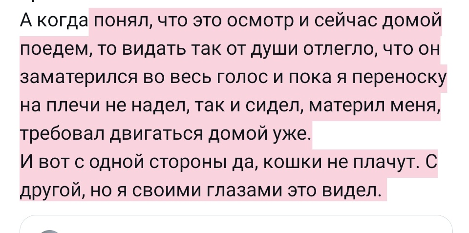 культист смены пола 🔞🤍💙🤍 tweet media