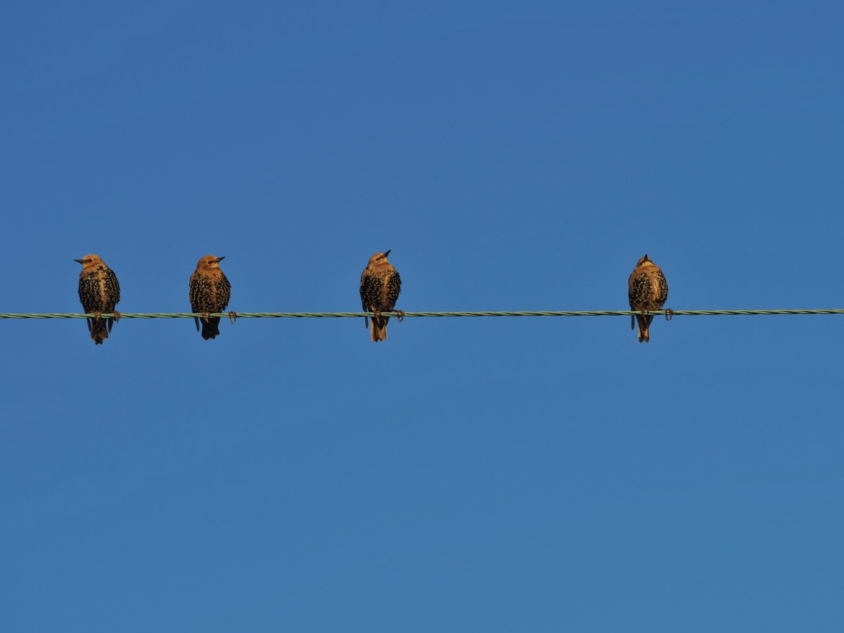 Jeff Richardson tweet media