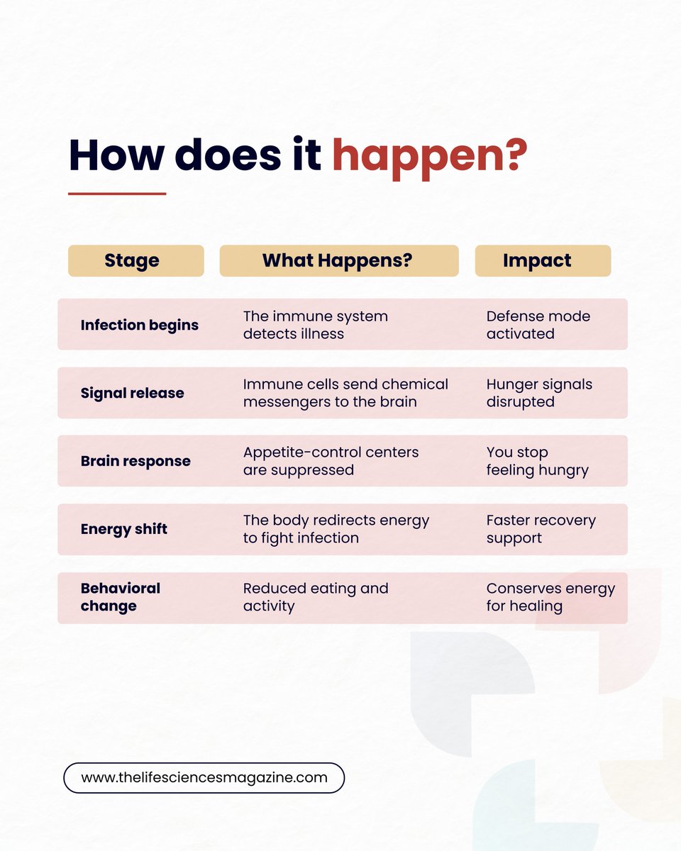 lifesciencesmag's tweet image. Sick &amp;amp; not hungry?

That’s your immune system shutting off hunger signals in the brain, saving energy to fight infection &amp;amp; speed up recovery.

#ImmuneSystem #HealthFacts #AppetiteSwitch #ScienceNews #InfectionRecovery #BodyFunctions #TheLifeSciencesMagazine