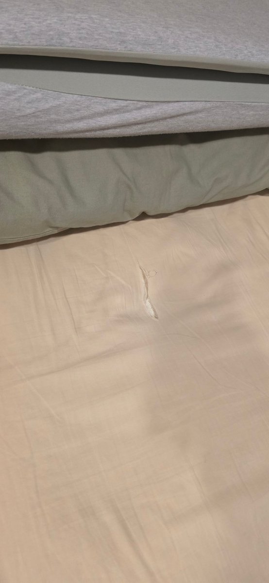 CEO of CUM 🔞 comms closed! tweet media