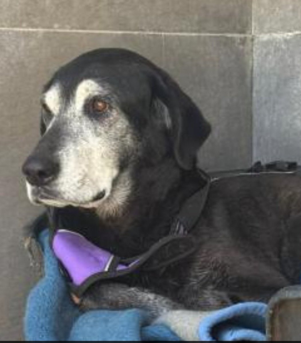 Manu Burk. tweet media