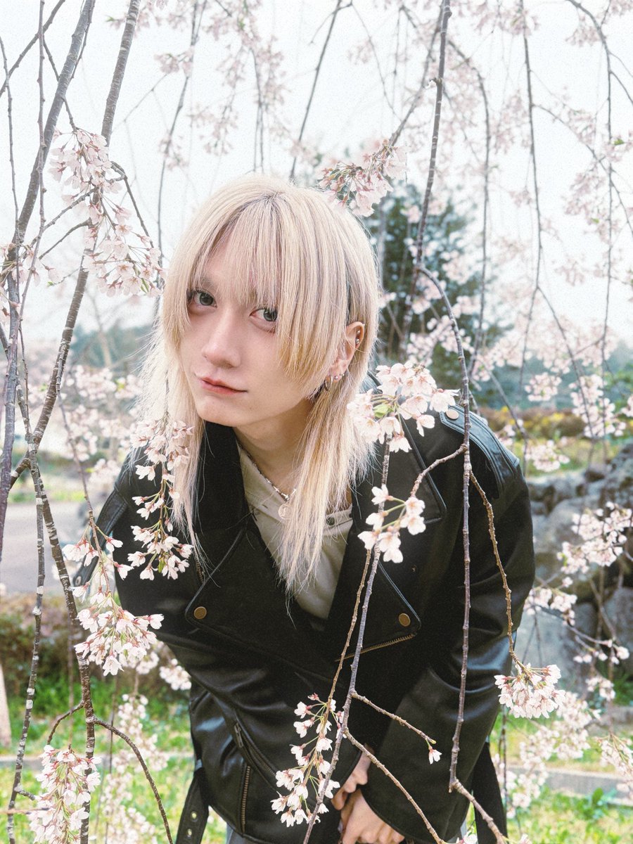 吉井添 tweet media