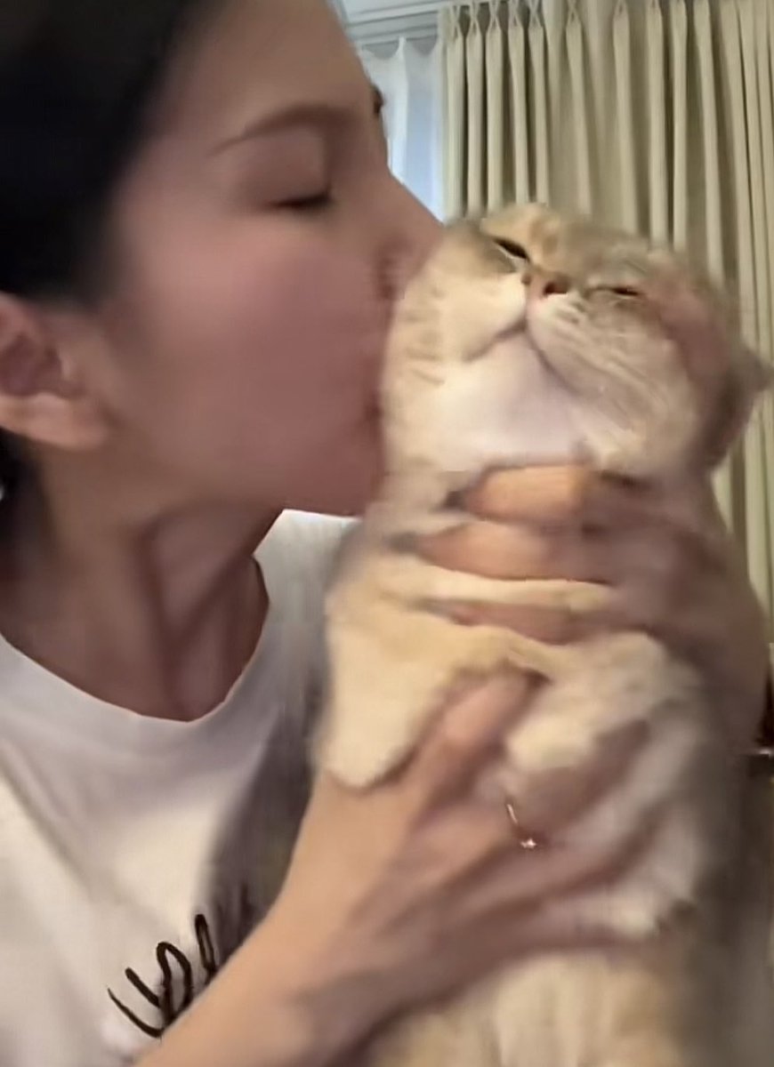 mameowni tweet media